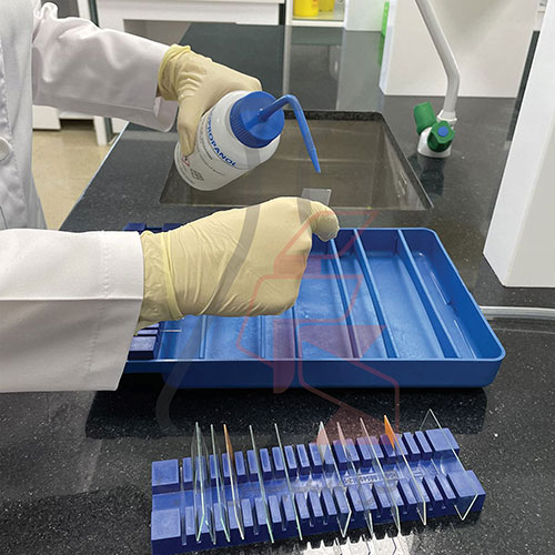 سینی رنگ‌آمیزی تمام پلاستیک با جای لام شیاردار برند PIP کد 120013