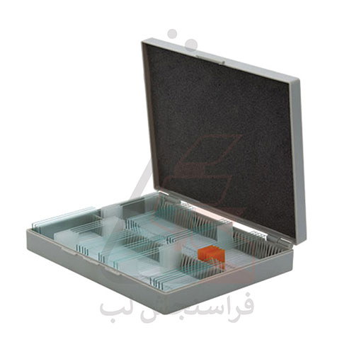 جعبه جای لام 100 عددی، با درب لولایی قفل‌دار  ABS برند PIP کد 120038
