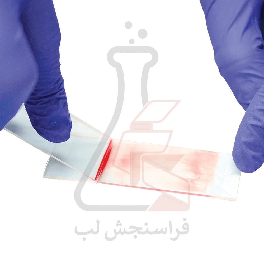 لام ساده میکروسکوپ بسته 50 عددی - کد 7102 برند PIP کد 120250